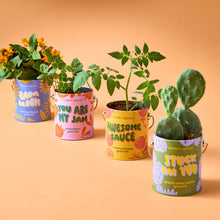 Load image into Gallery viewer, Complimentary Colors Grow Kits
