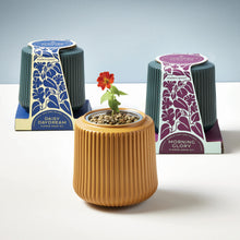 Load image into Gallery viewer, Flower Grow Kits
