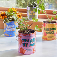 Load image into Gallery viewer, Complimentary Colors Grow Kits
