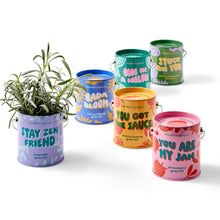 Load image into Gallery viewer, Complimentary Colors Grow Kits
