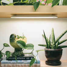 Load image into Gallery viewer, Smart Growbar
