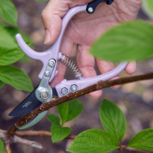Load image into Gallery viewer, Gardening Shears &amp; Pruners

