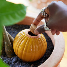 Load image into Gallery viewer, Terracotta Watering Bulbs
