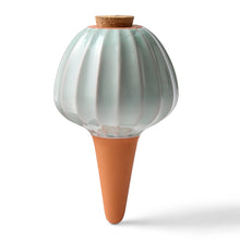 Load image into Gallery viewer, Terracotta Watering Bulbs
