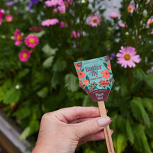 Load image into Gallery viewer, Seed Pops - Pollinator
