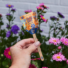 Load image into Gallery viewer, Seed Pops - Pollinator
