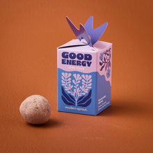 Load image into Gallery viewer, Seed Bombs
