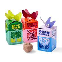 Load image into Gallery viewer, Seed Bombs
