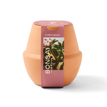 Load image into Gallery viewer, Modern Terracotta Grow Kits
