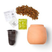 Load image into Gallery viewer, Modern Terracotta Grow Kits

