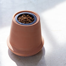 Load image into Gallery viewer, Modern Terracotta Grow Kits
