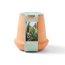Load image into Gallery viewer, Modern Terracotta Grow Kits
