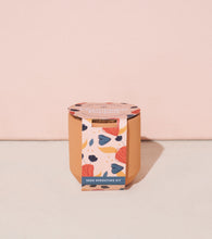 Load image into Gallery viewer, Tiny Terracotta Kits
