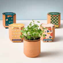 Load image into Gallery viewer, Tiny Terracotta Kits
