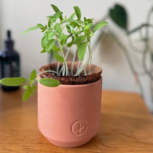 Load image into Gallery viewer, Tiny Terracotta Garden Kits
