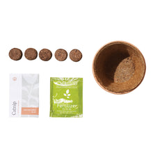 Load image into Gallery viewer, Pet Tiny Terracotta Grow Kits
