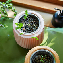 Load image into Gallery viewer, Flower Grow Kits
