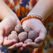 Load image into Gallery viewer, Seed Bombs
