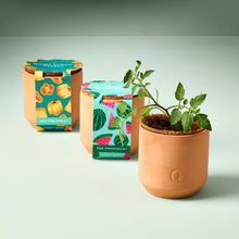 Load image into Gallery viewer, Tiny Terracotta Garden Kits
