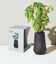 Load image into Gallery viewer, Tapered Tumbler Grow Kits
