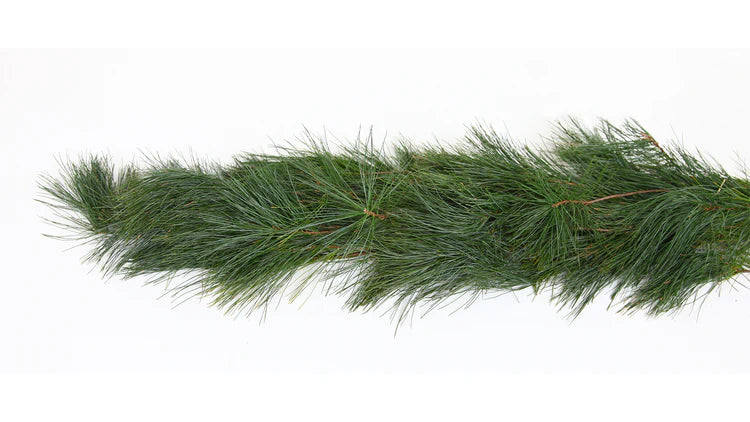 XMAS 25ft White Pine Garland- Heavy Grade