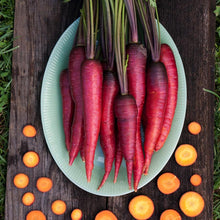 Load image into Gallery viewer, Dragon Carrot Seeds (Organic)
