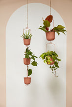 Load image into Gallery viewer, IP Gemini Hanging Pot 7"
