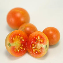 Load image into Gallery viewer, Red Grape Riesenstraube Cherry Tomato Seeds (Organic)
