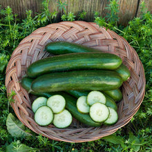 Load image into Gallery viewer, Green Finger Cucumber Seeds (Organic)
