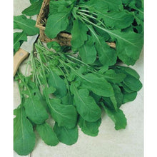Load image into Gallery viewer, Arugula Greens Seeds (Organic)
