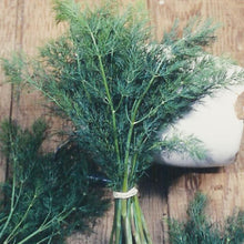 Load image into Gallery viewer, Mammoth Dill Seeds (Organic)
