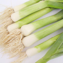 Load image into Gallery viewer, American Flag Leek Seeds (Organic)
