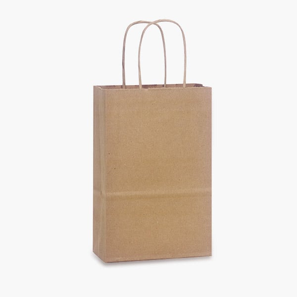 XMAS Kraft Brown Gift Bag- SM