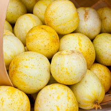 Load image into Gallery viewer, Lemon Cucumber Seeds (Organic)
