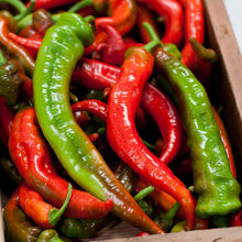 Load image into Gallery viewer, Nardello Sweet Pepper Seeds (Organic)
