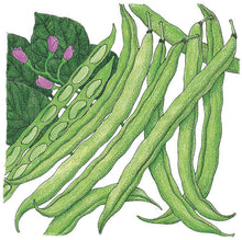 Load image into Gallery viewer, Tendergreen Bush Bean Seeds (Organic)
