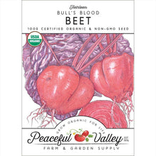 Load image into Gallery viewer, Bull's Blood Beet Seeds (Organic)
