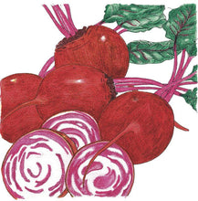 Load image into Gallery viewer, Chioggia Beet Seeds (Organic)
