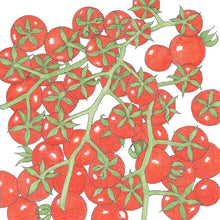 Load image into Gallery viewer, Matt's Wild Cherry Cherry Tomato Seeds (Organic)
