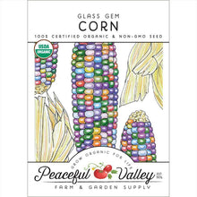 Load image into Gallery viewer, Glass Gem Corn Seeds (Organic)
