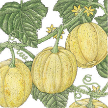 Load image into Gallery viewer, Lemon Cucumber Seeds (Organic)
