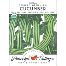 Load image into Gallery viewer, Striped Cucumber Seeds (Organic)
