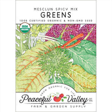 Load image into Gallery viewer, Mesclun Spicy Mix Greens Seeds (Organic)
