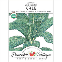 Load image into Gallery viewer, Lacinato Kale Seeds (Organic)
