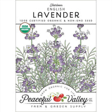 Load image into Gallery viewer, English-Vera Lavender Seeds (Organic)
