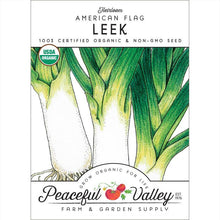 Load image into Gallery viewer, American Flag Leek Seeds (Organic)
