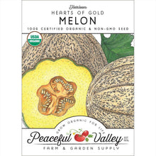 Load image into Gallery viewer, Hearts of Gold Melon Seeds (Organic)
