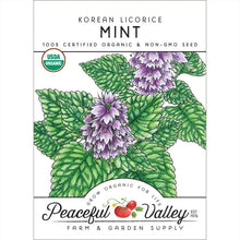 Load image into Gallery viewer, Korean Licorice Mint Seeds (Organic)
