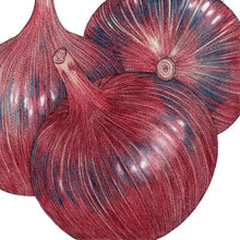 Load image into Gallery viewer, Cabernet Onion Seeds (Organic)
