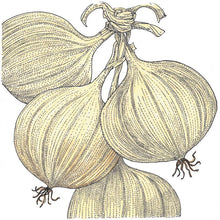 Load image into Gallery viewer, Walla Walla Onion Seeds (Organic)
